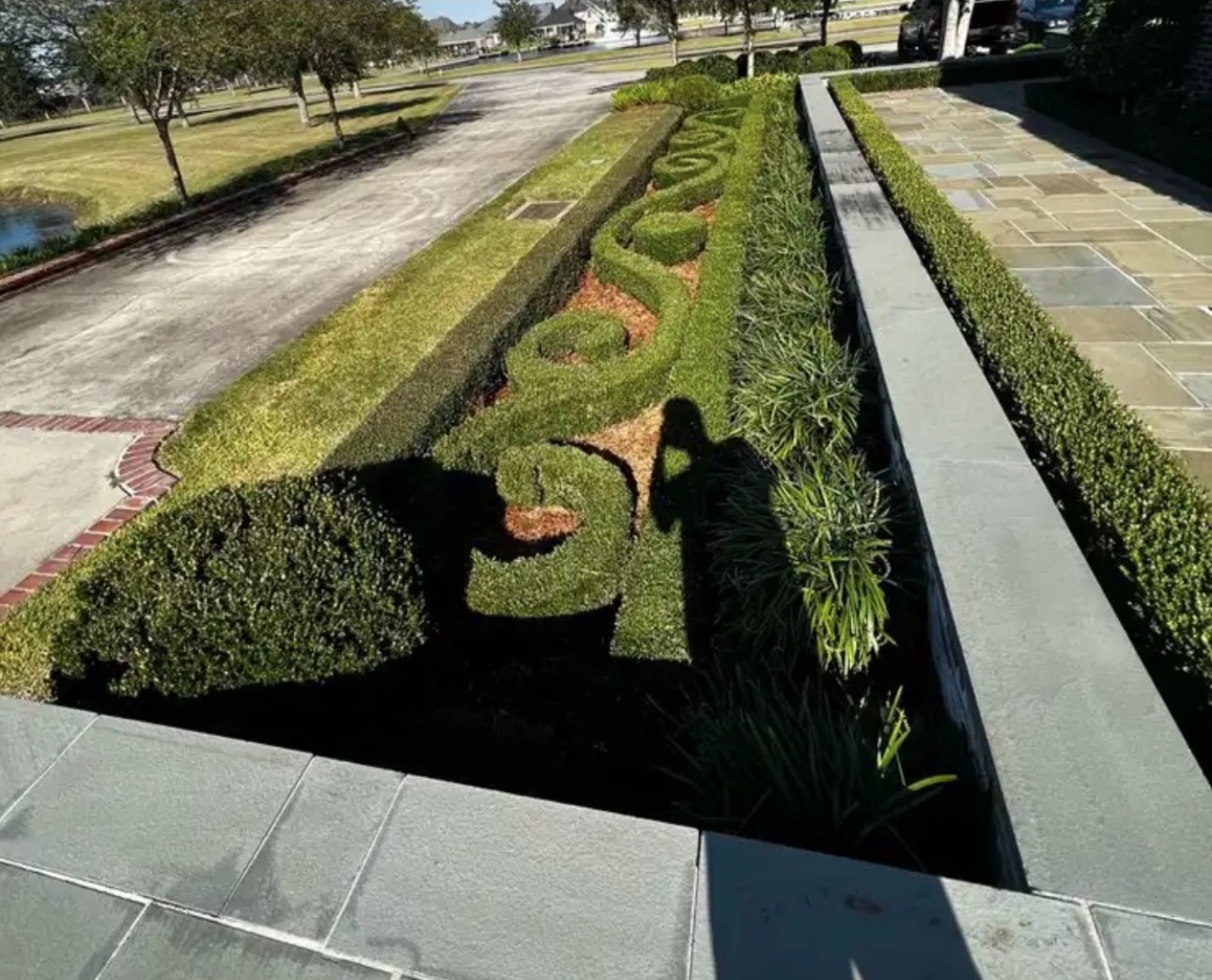 Precision hedge and bed design