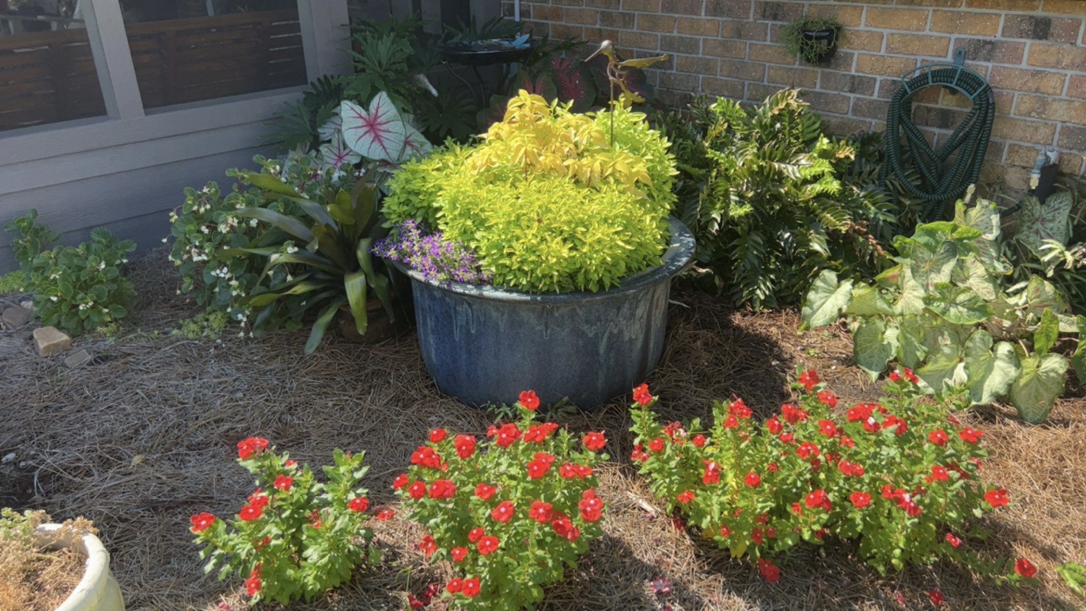 Colorful flower bed with container planting and pine straw