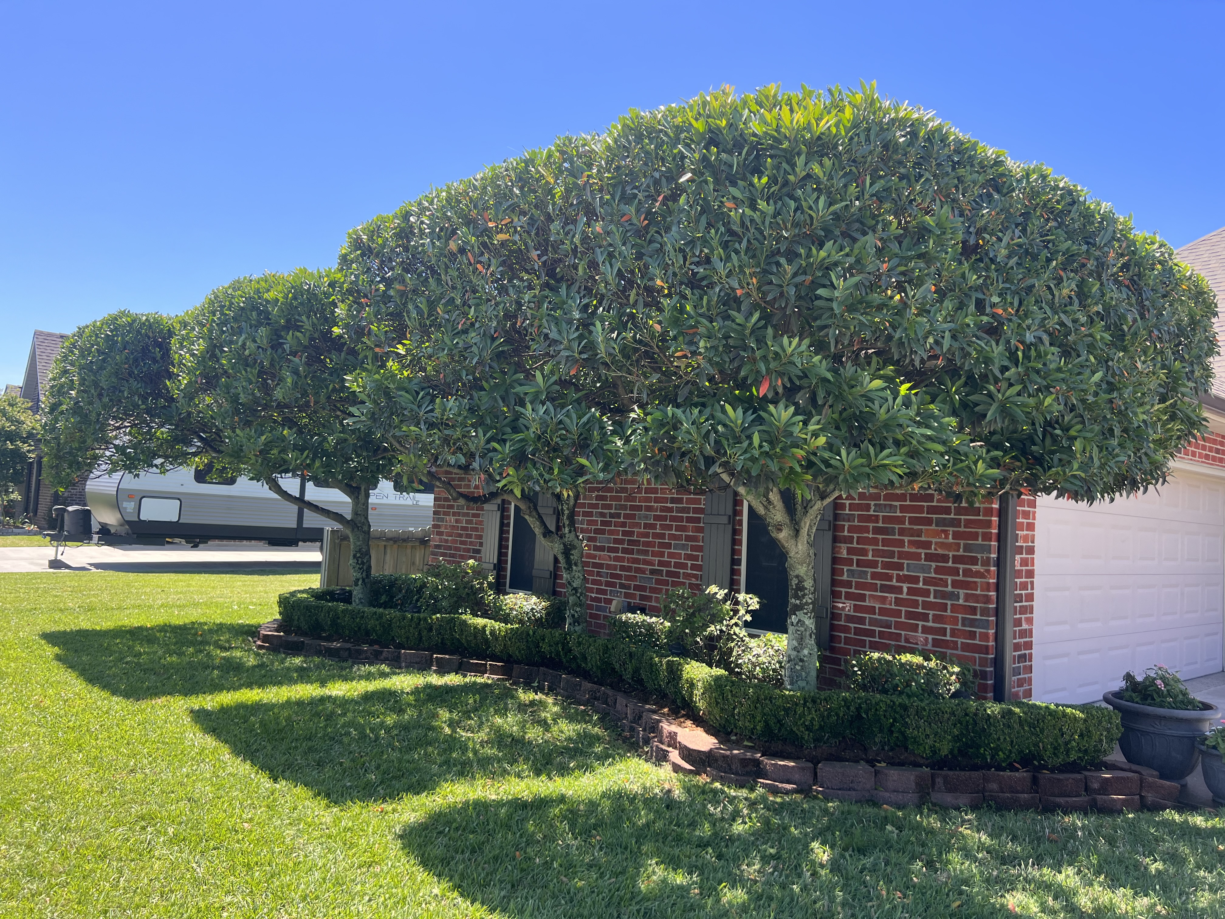 Flower bed with statue and pine straw ring
