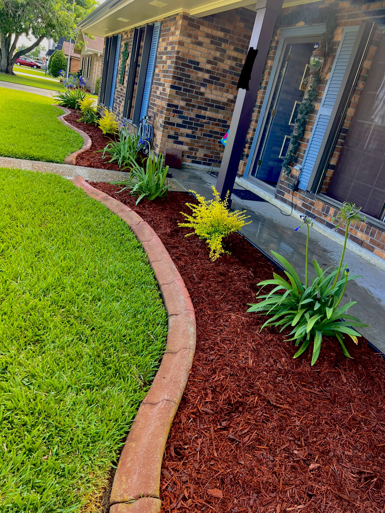 Trees and shrubs shaped along brick home